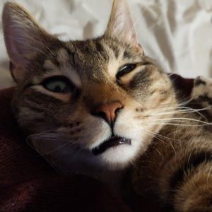 Meet your Posher, Lexi